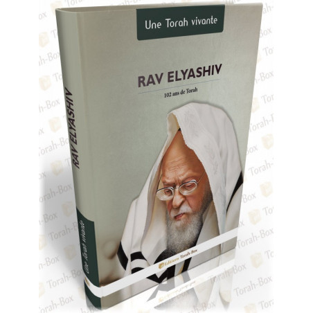 Rav Elyashiv une Torah Vivante