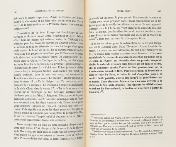 L'essence de la Torah,